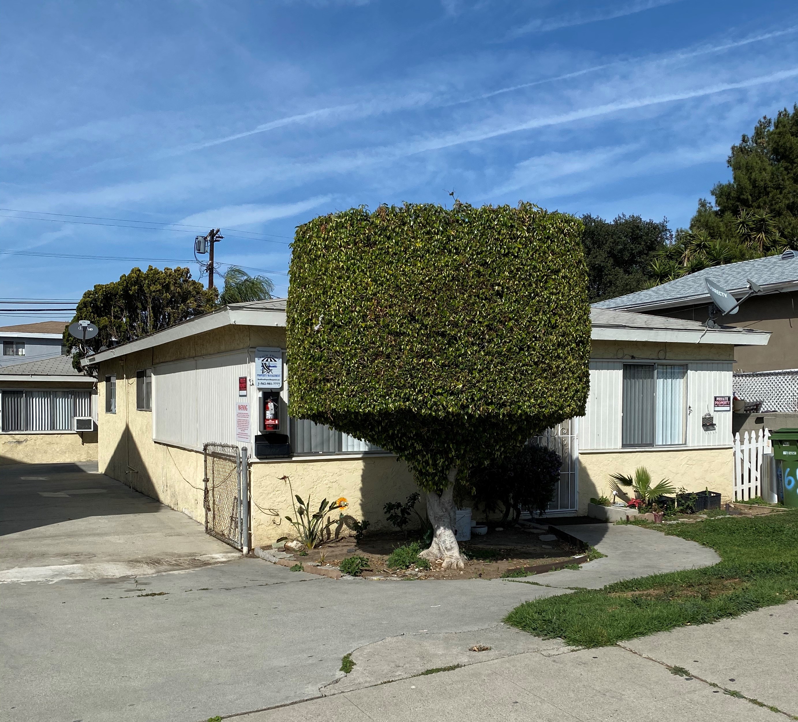 A large green hedge covers the top of a house.